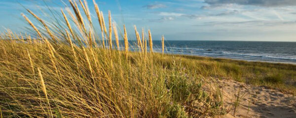 Plages en Vendée